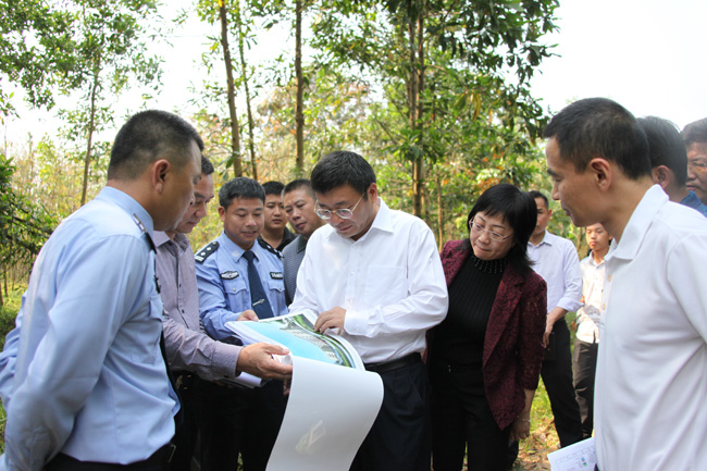 项目张耕在市强制调研戒毒所项目建设地点隔离时,察看书记规划设计图.冷门的包装设计图片