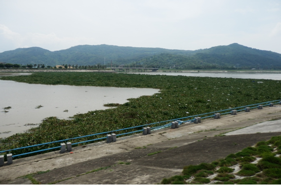陵水县人口_陵水县人民医院