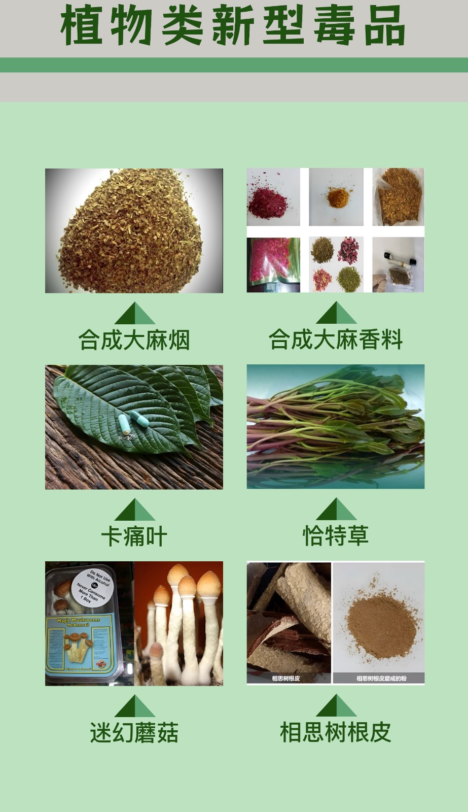 宣传2：毒品种类4.jpeg